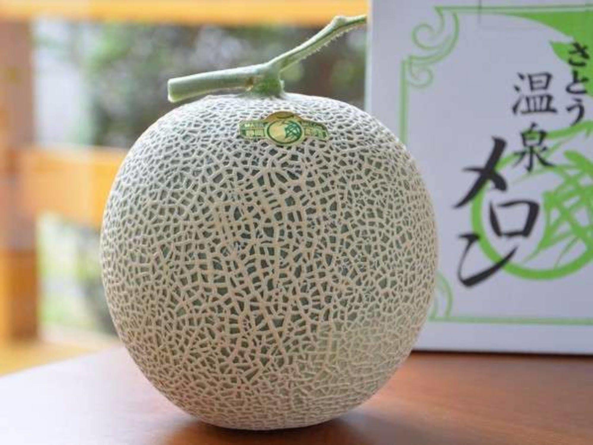 Hotel Kawachiya 南伊豆町 エクステリア 写真